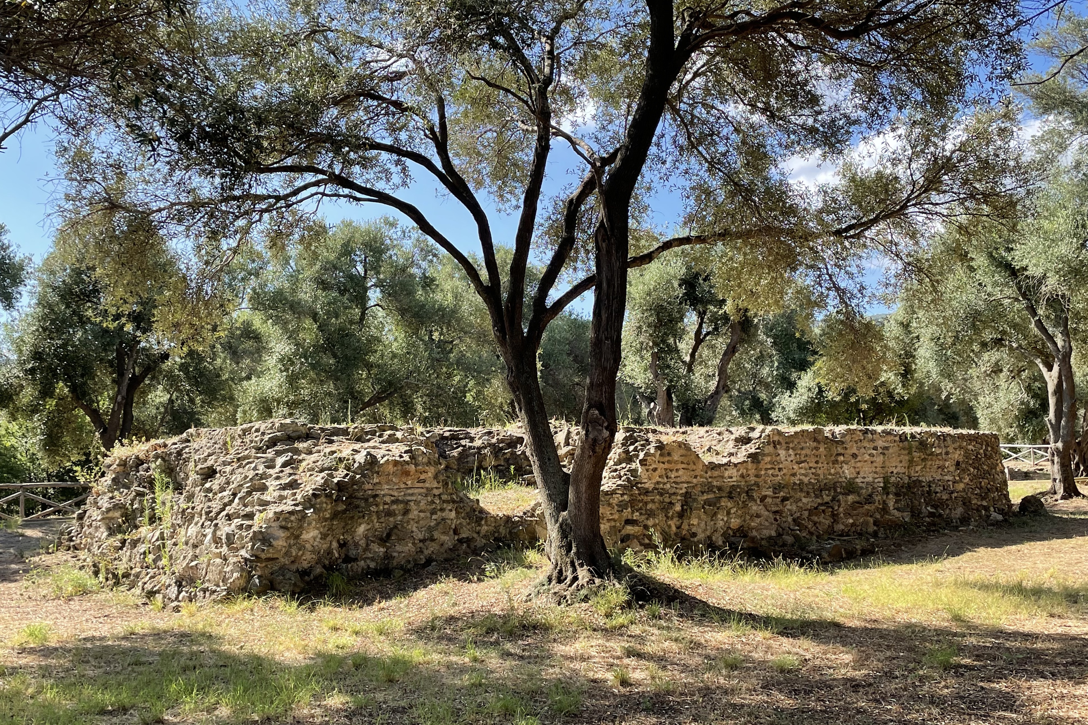 Parco Archeologico dei Tauriani, Palmi