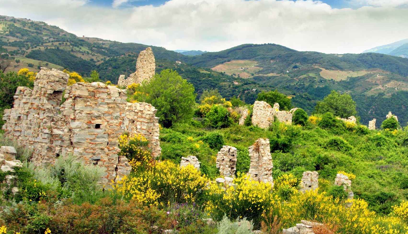 Ruderi di Acerenthia, Cerenzia