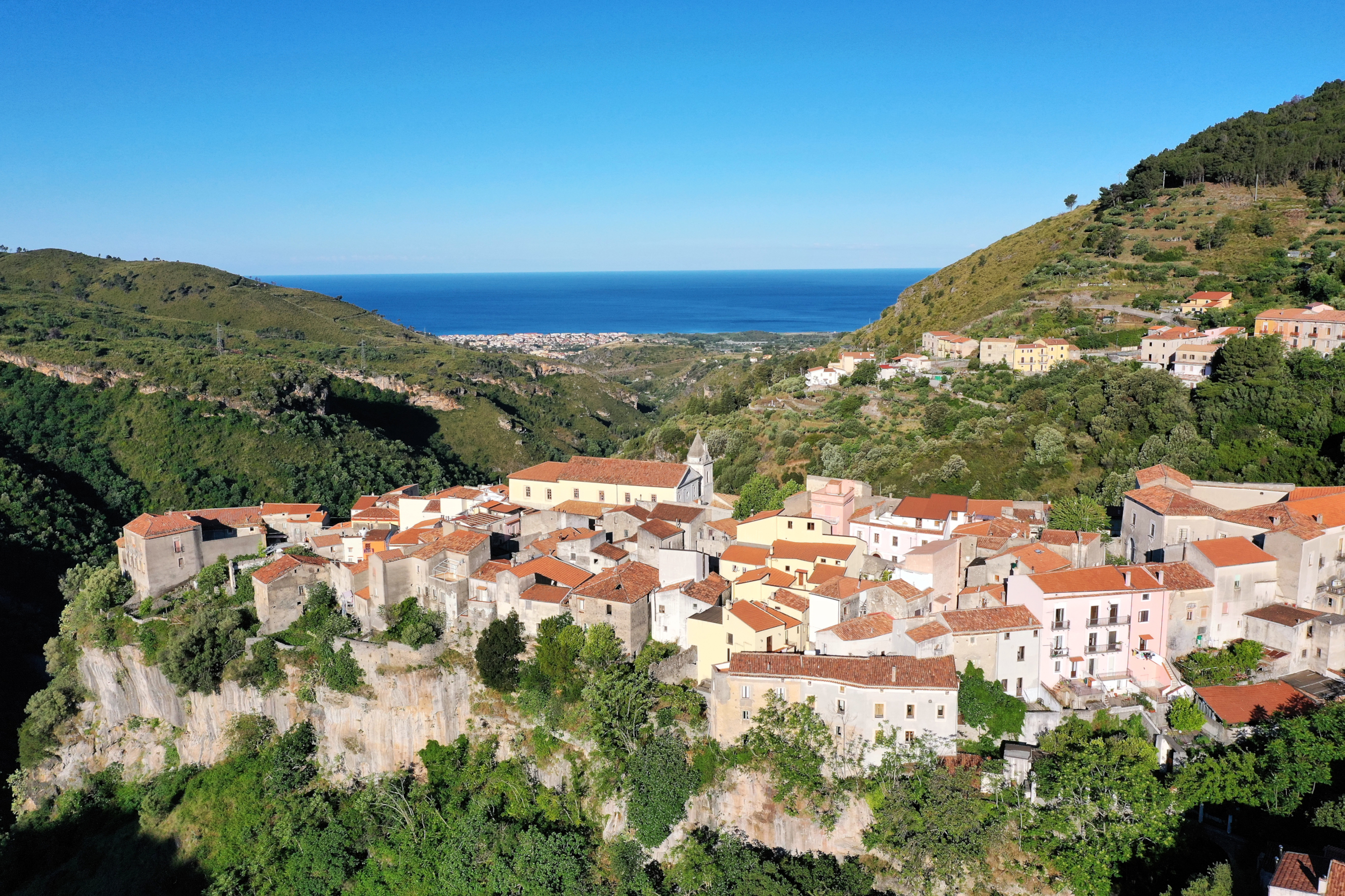 Tortora