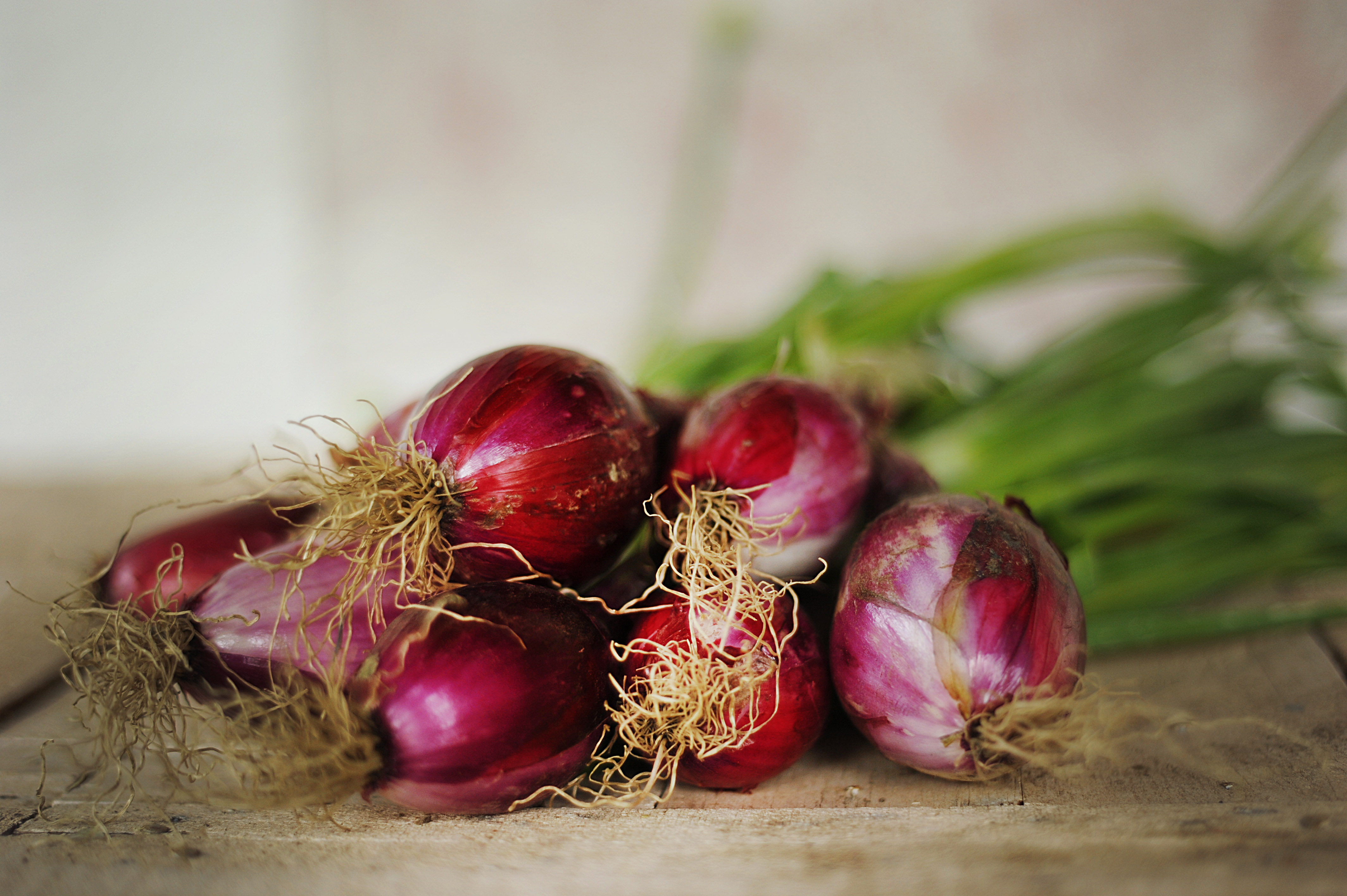 Cipolla rossa