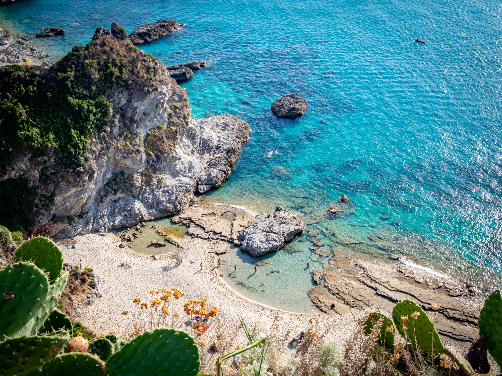 Capo vaticano