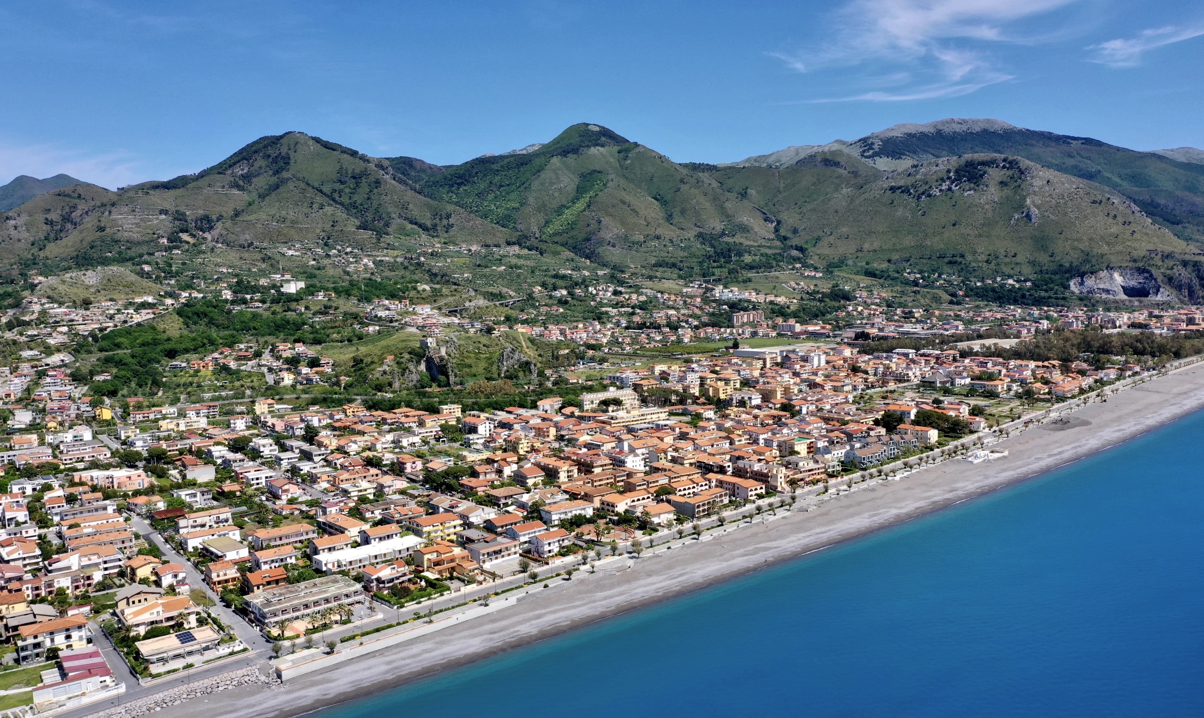Tortora