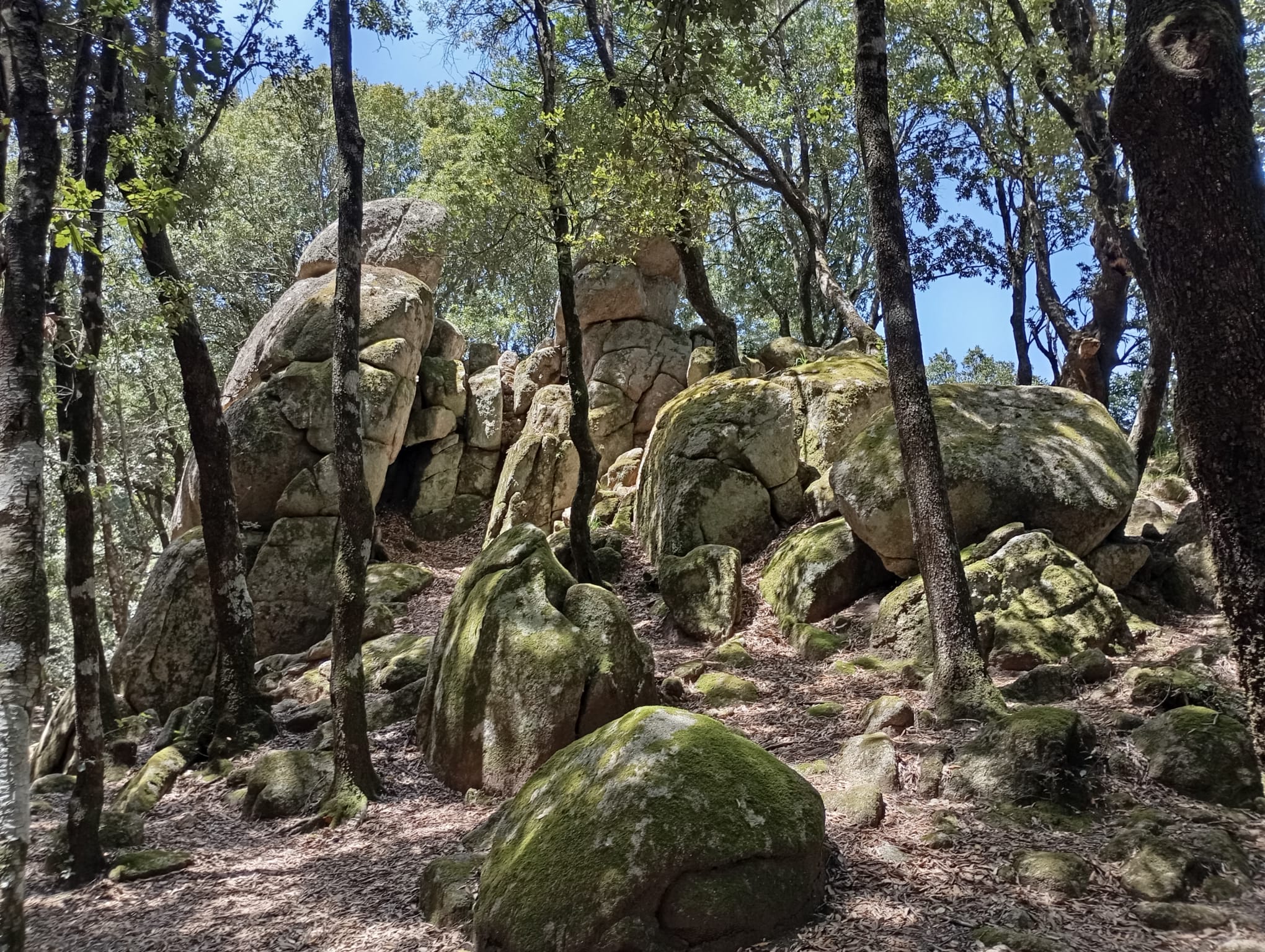 Megaliti di Nardodipace