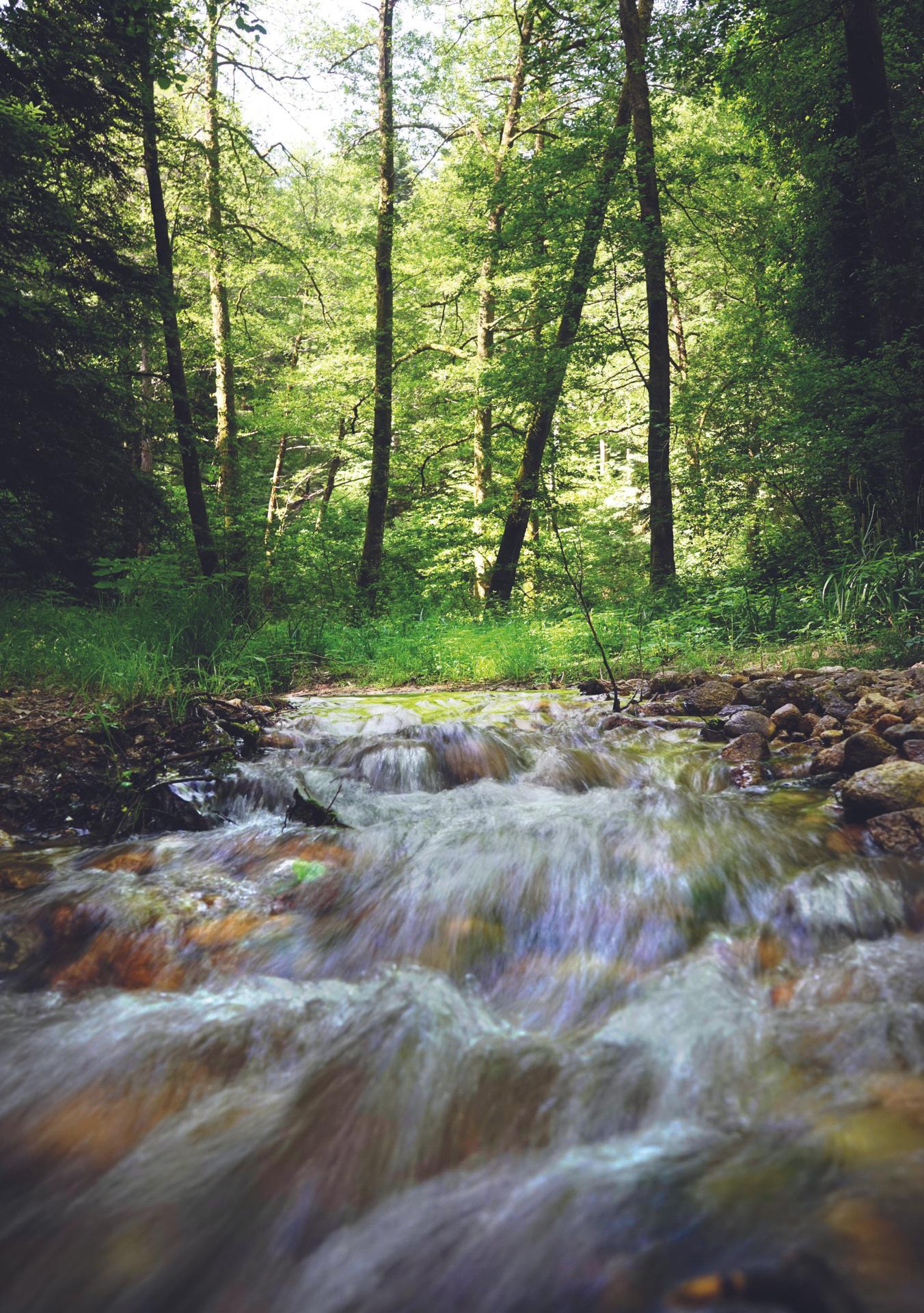 Parco Naturale Regionale delle Serre