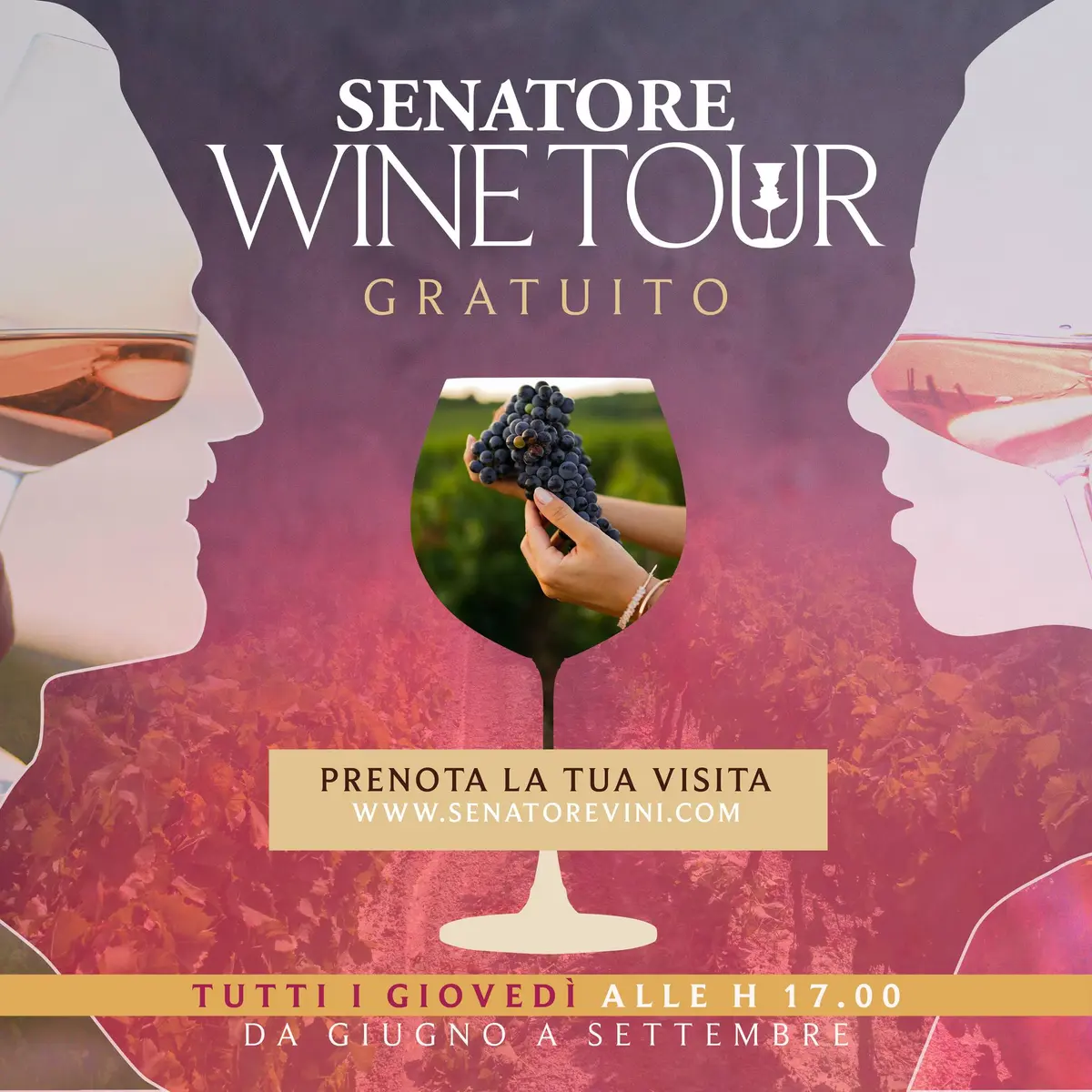 Senatore wine tour