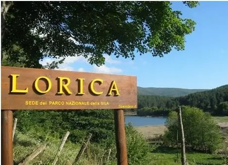 Lorica