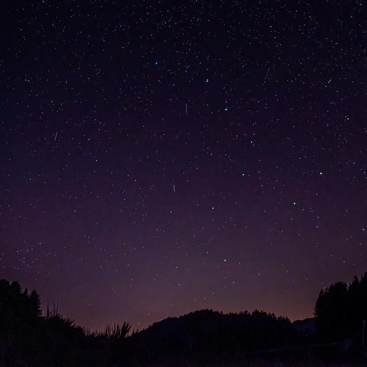 Notte di San Lorenzo: dove vedere le stelle cadenti in Calabria
