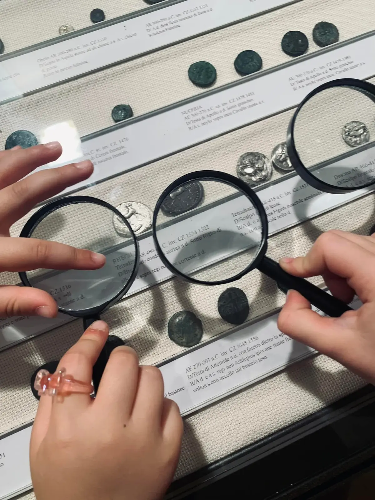 /storage/images/12478/Museo-Archeologico-e-Numismatico-Provinciale.jpg