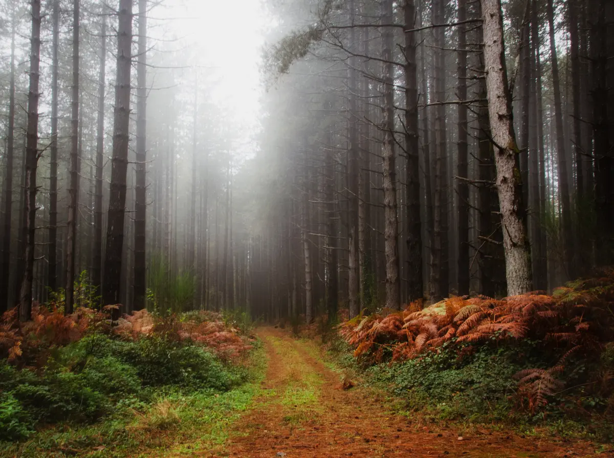 Halloween in Calabria: 3 spooky destinations