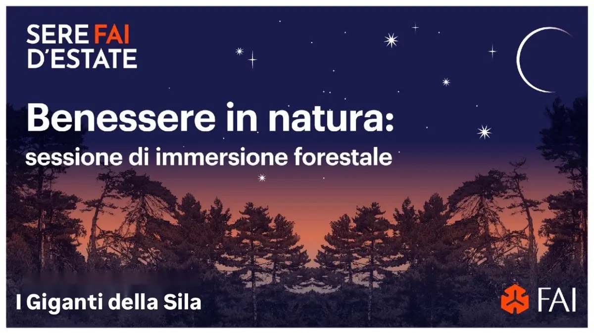 FAI Summer evenings | Wellness in nature: forest immersion session