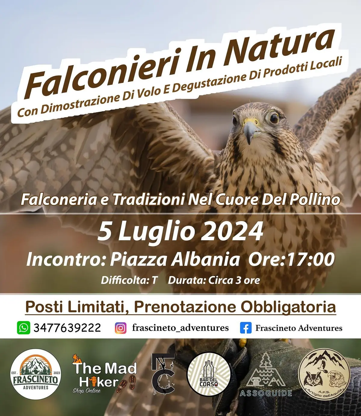 Falconers in Nature