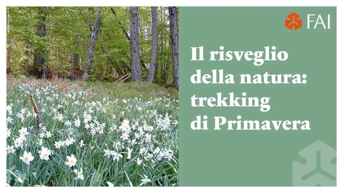 Il risveglio della natura: trekking di Primavera