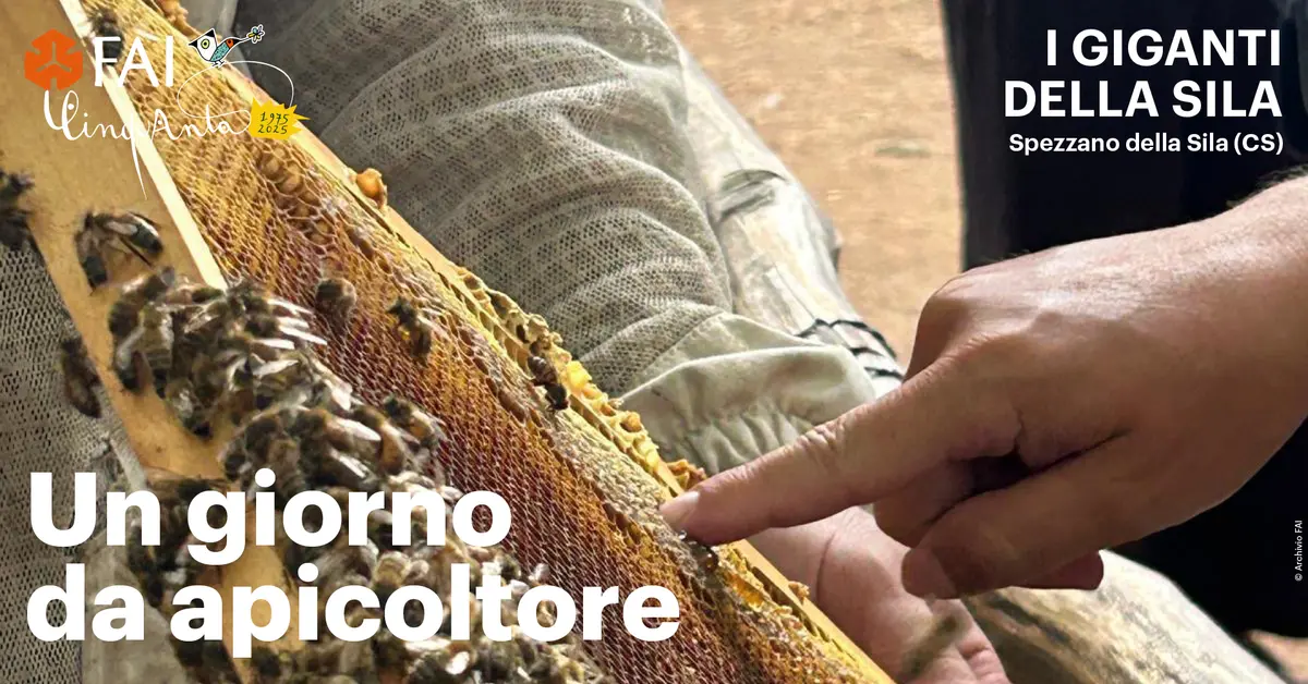 Un giorno da Apicoltore