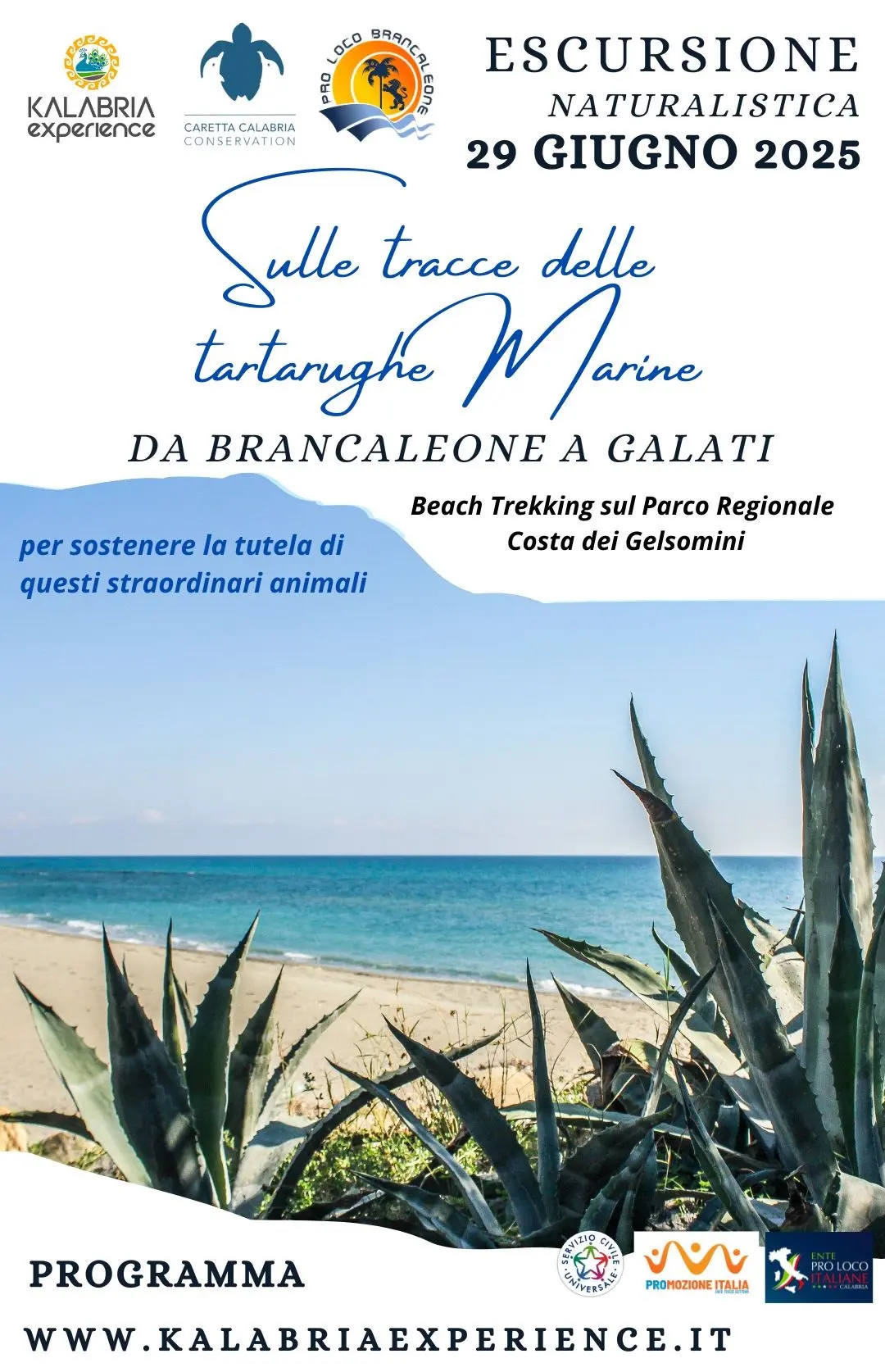 Locandina evento "sulle tracce delle tartarughe marine"