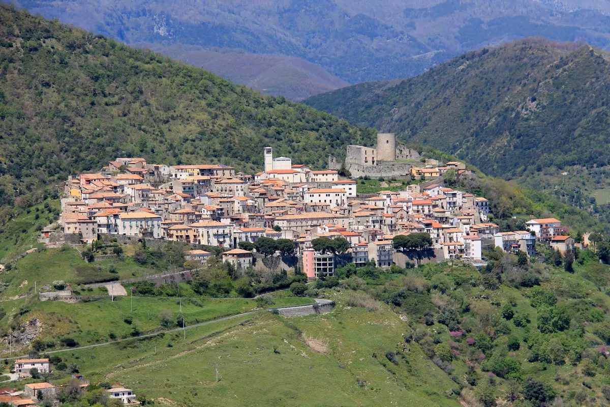 Malvito
