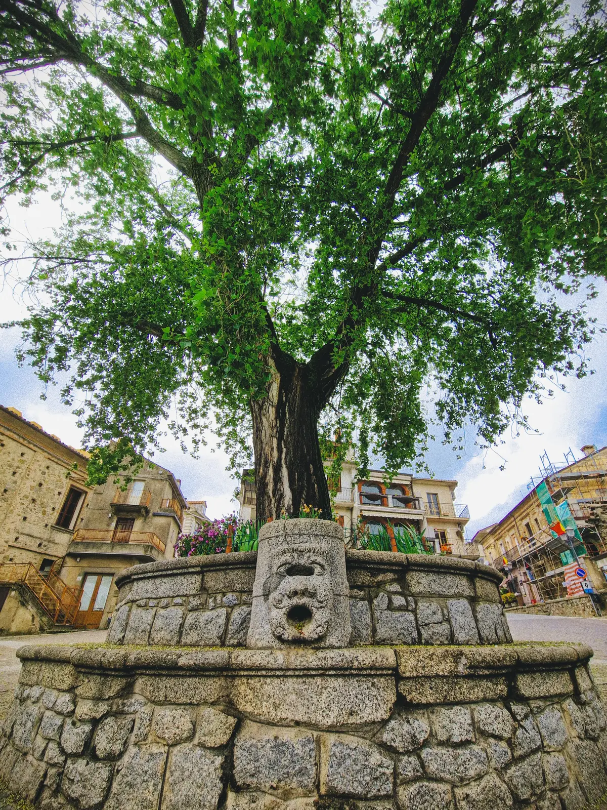 Petrizzi