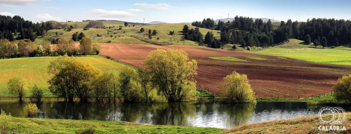 Riserva Naturale "Tasso-Camigliatello Silano"
