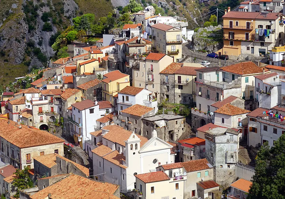 Buonvicino
