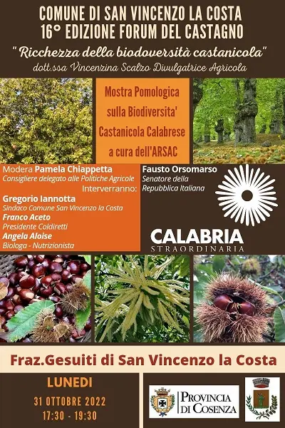 LOCANDINA CONVEGNO Castagno