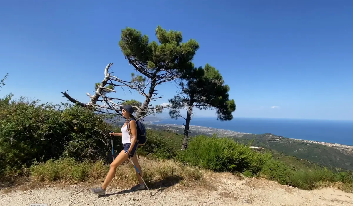 The Basilian Way in Calabria