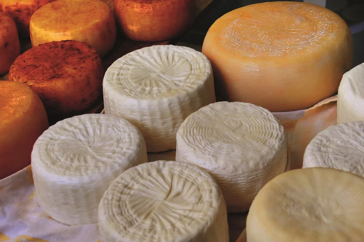 Journey through Calabrian PDO cheeses