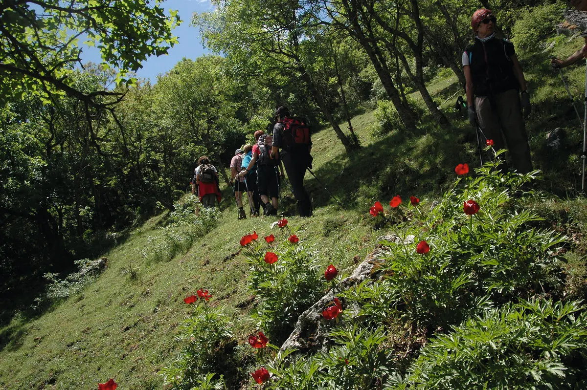 tappa07-cerchiara-civita_foto2_escursionisti_tralepeonie