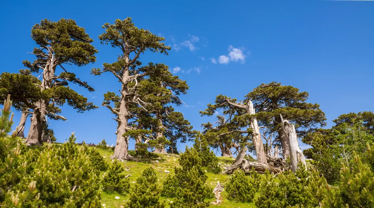 Riserve Naturali