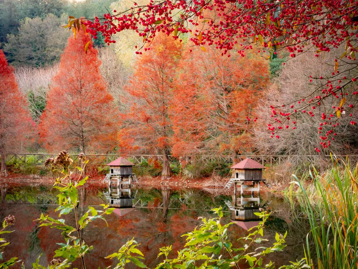 Itinerary in the territory of the Serre Regional Natural Park