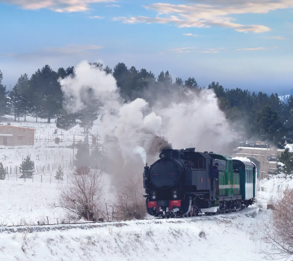 Viaggio lento sul Treno della Sila