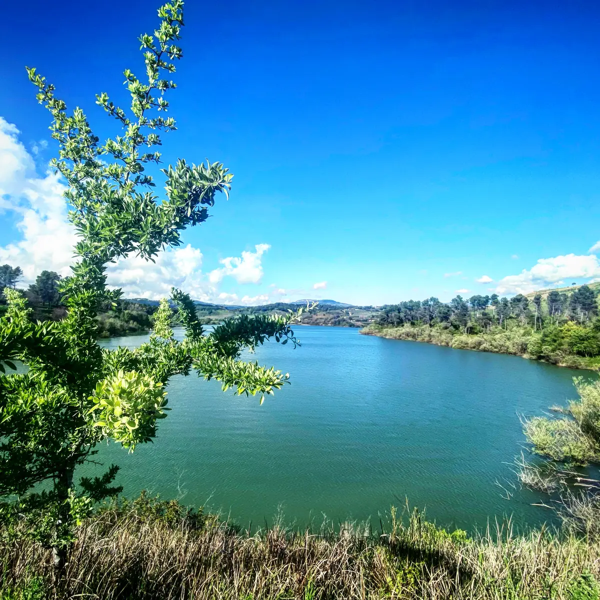 Visita al Lago Angitola, Oasi WWF