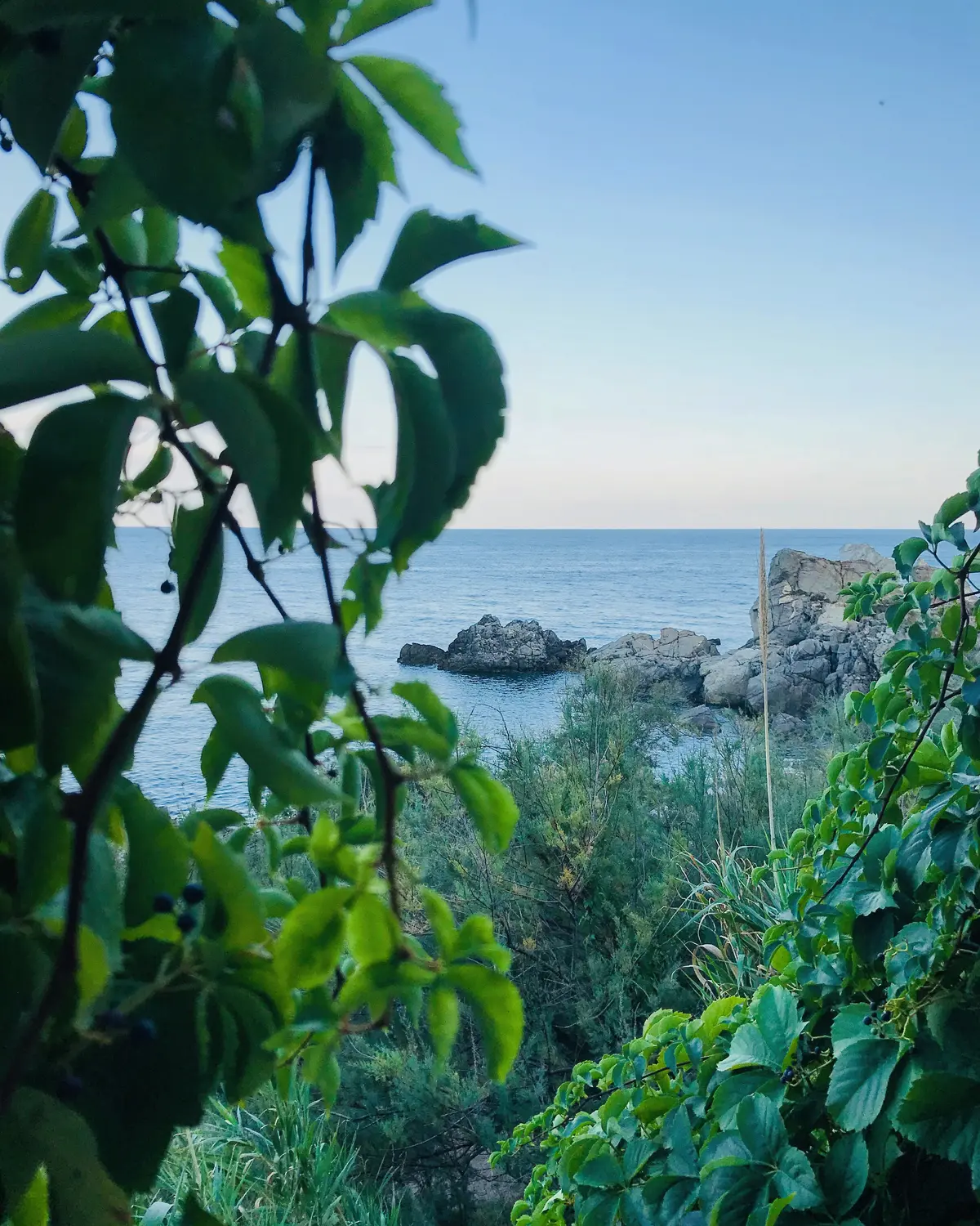 Tour of Cassiodorus's sites in Calabria