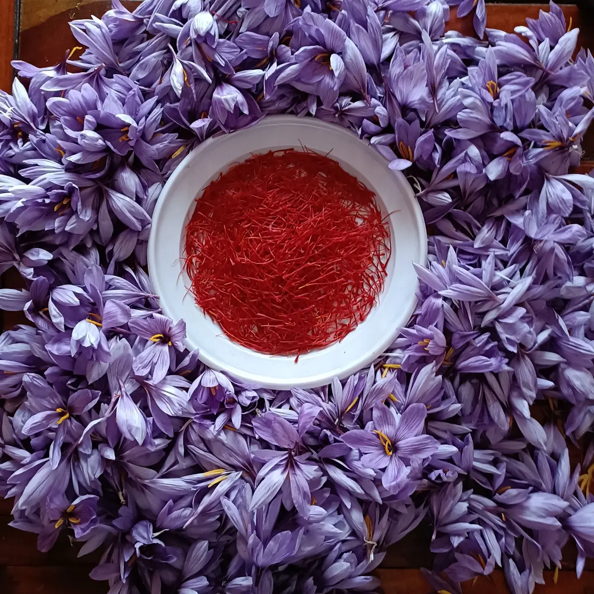 Saffron in Calabria: on the road of Red Gold