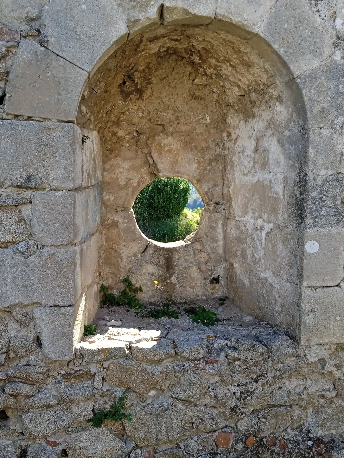 Arena