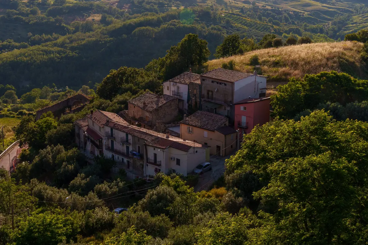Lattarico