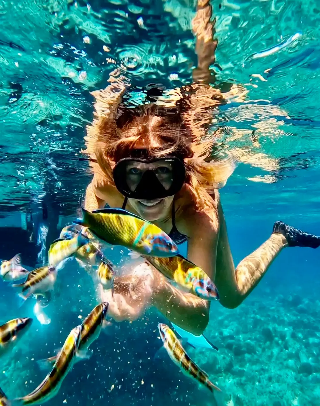 un mare molto vivo, nuota alla scoperta della flora e della fauna marina. A bordo trovi attrezzatura da snorkeling