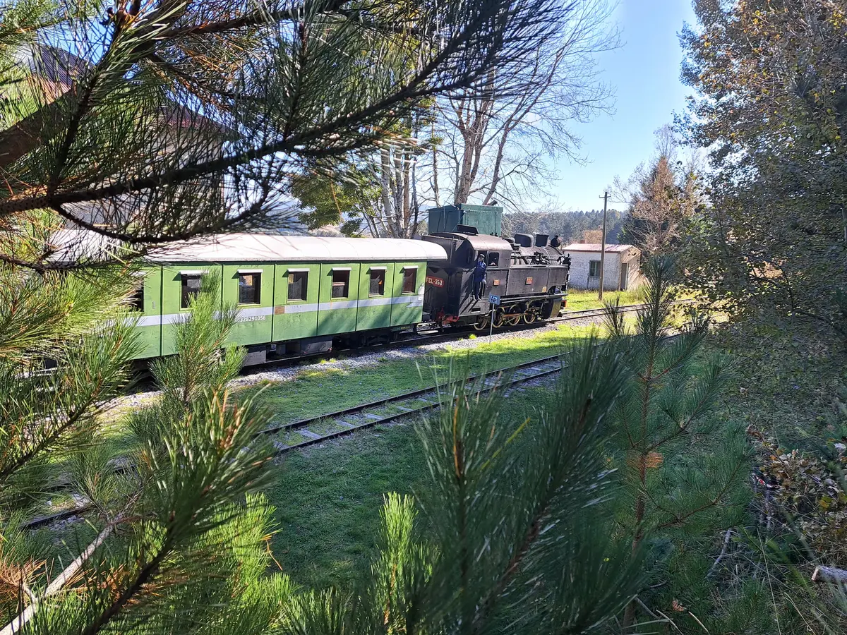 Exploring Calabria by train