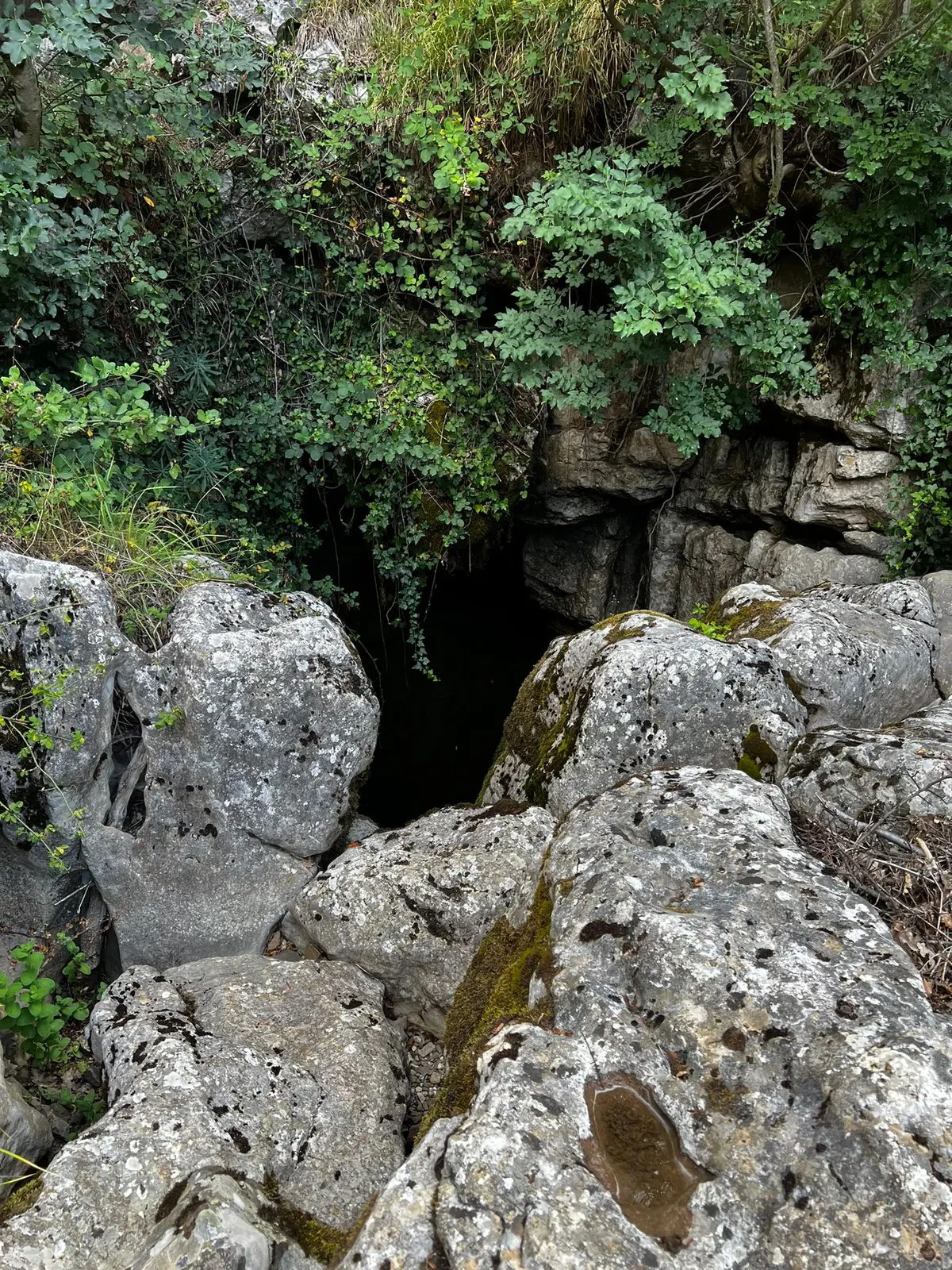 Underground journey, discovering the Bifurto Abyss
