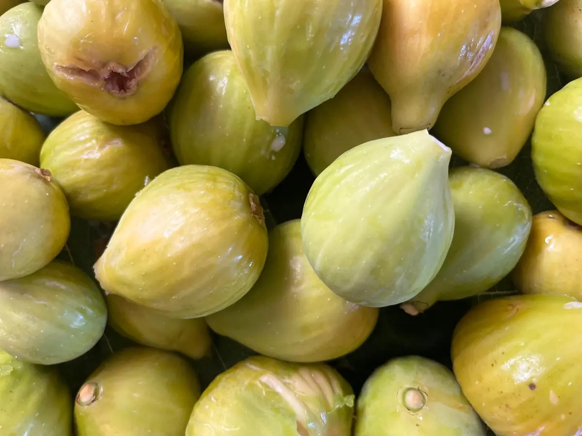 Fichi di Cosenza DOP