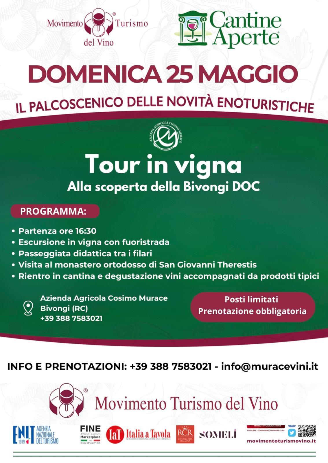 Cantine Aperte, Murace Vini