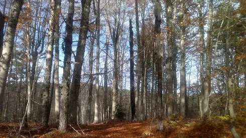 Riserva Naturale Gallopane