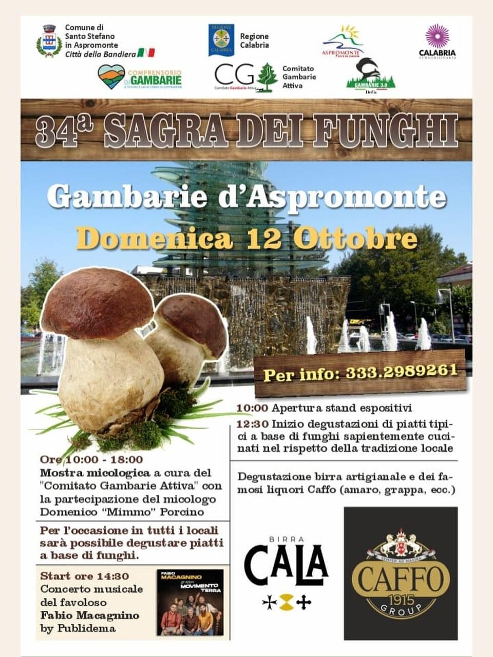 Locandina evento Sagra dei funghi