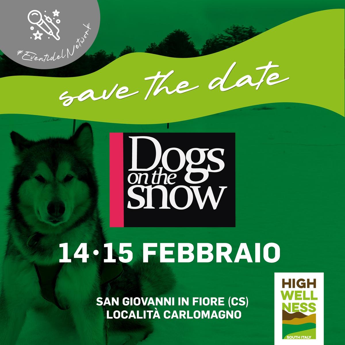 Locandina Dog on the snow