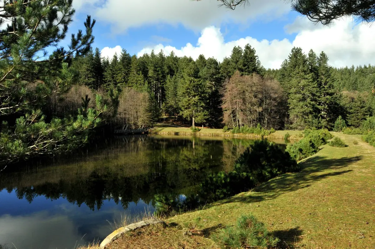Riserva Naturale "Golia Corvo"