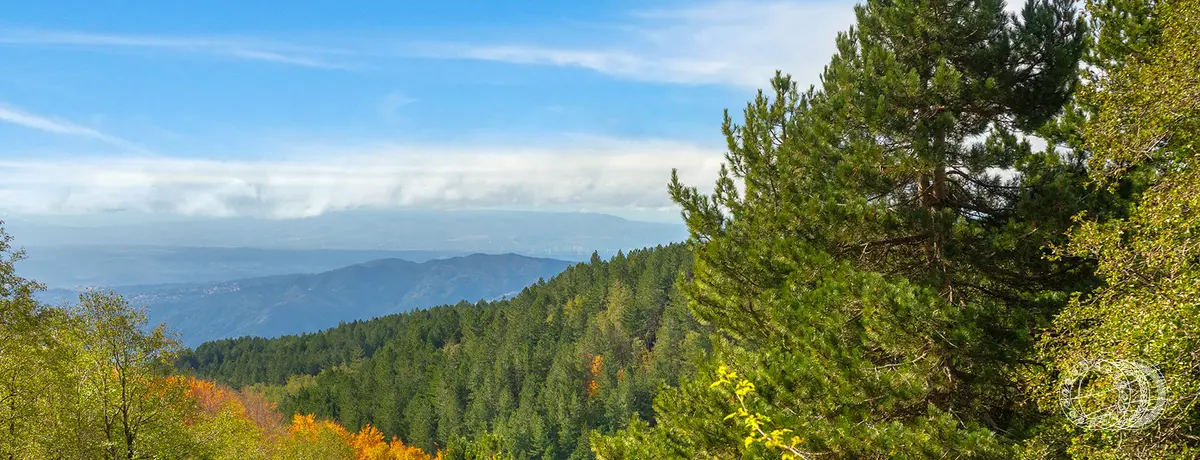 Europe's best kept secret