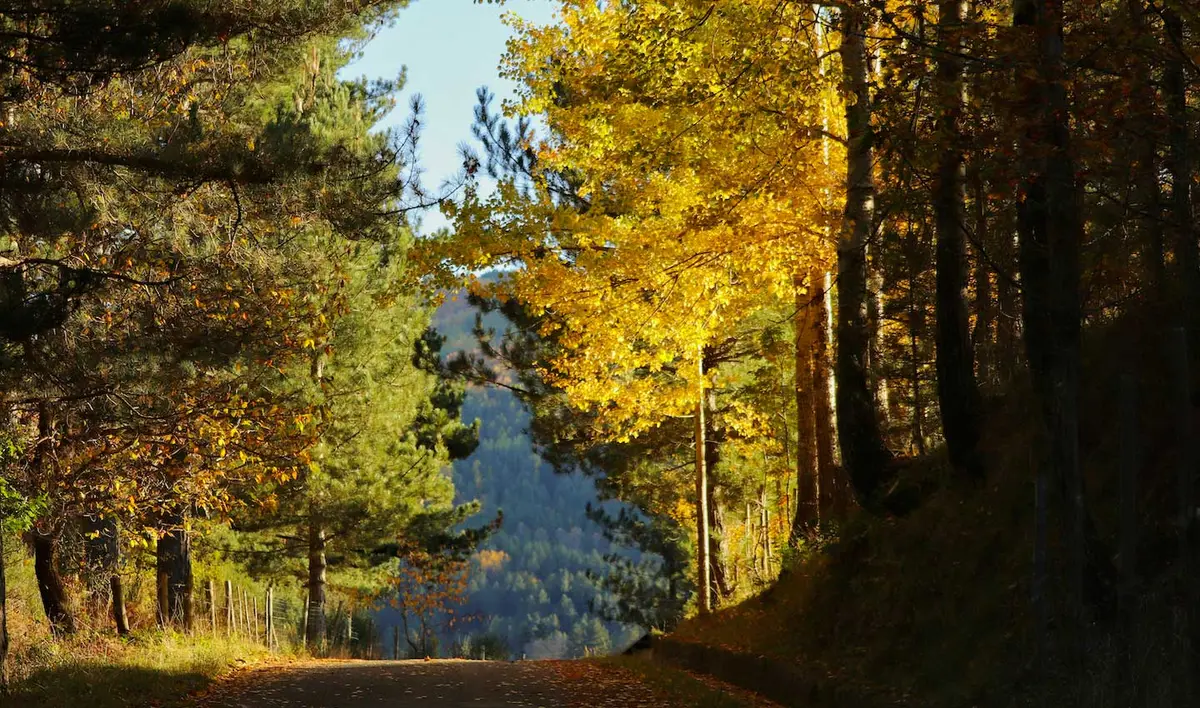 Giornate FAI d'Autunno: i luoghi visitabili in Calabria