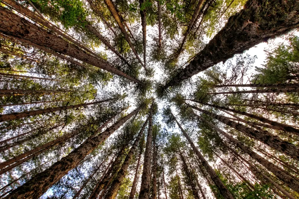 Tornano le Giornate FAI di Primavera