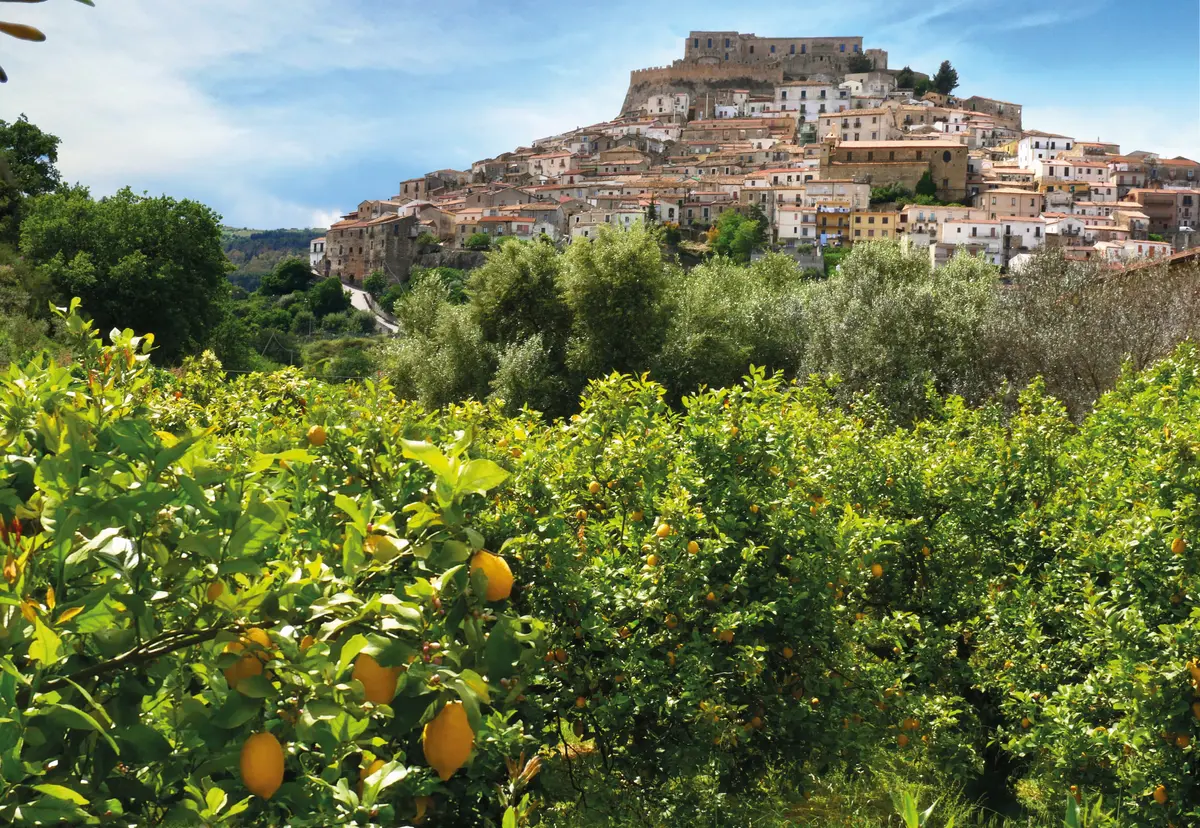 A sensorial journey among the Lemons of Rocca Imperiale