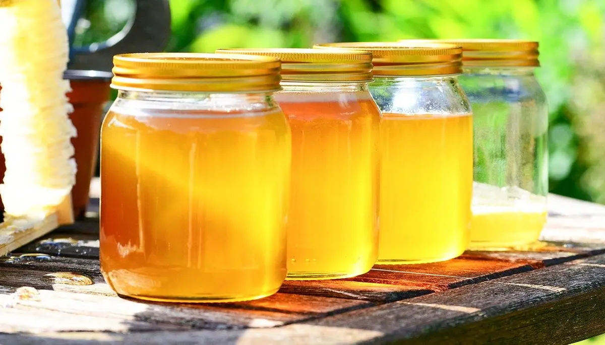 Viaggio sensoriale ad Amaroni, la Città del Miele