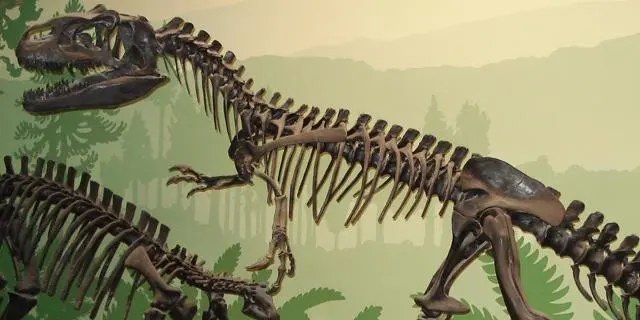 Museo di Paleontologia