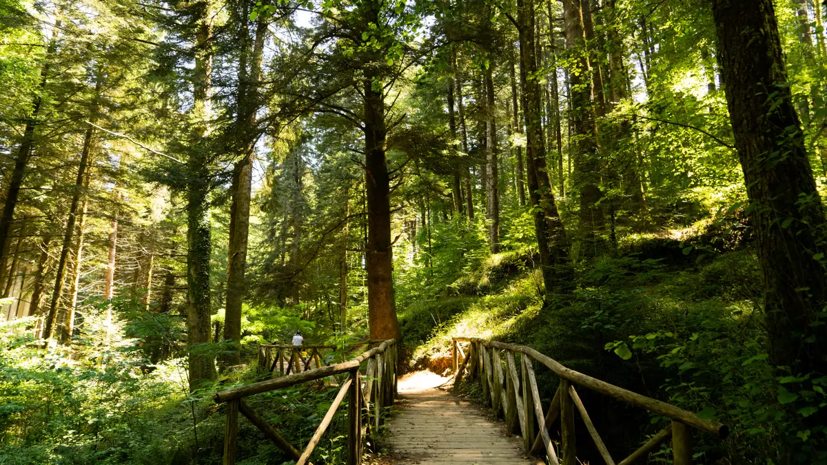 Trekking lungo il Sentiero Frassati delle Serre Calabre